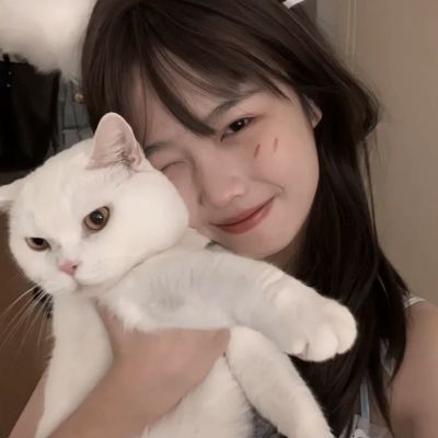 十大正规买足球网站